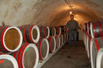 Kosh Wine Cellar